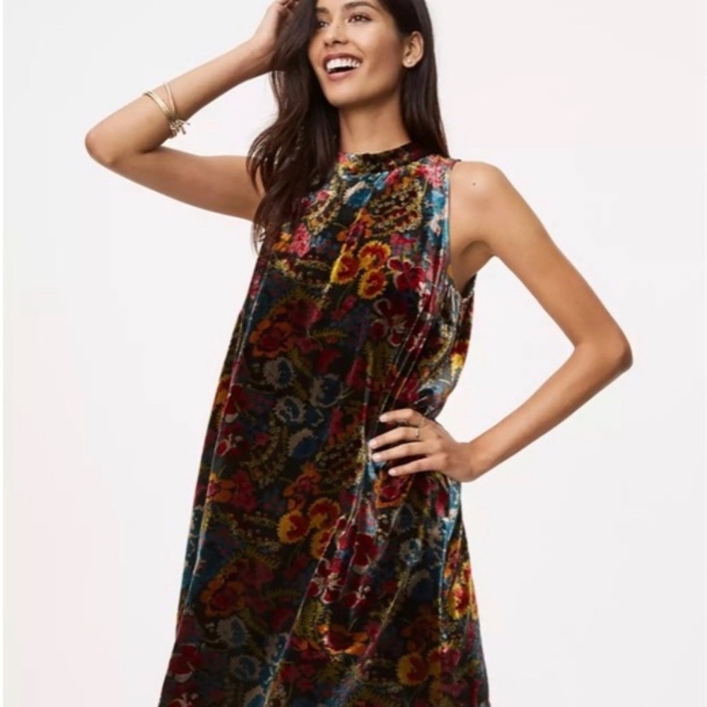 LOFT Velvet Floral Shift Dress